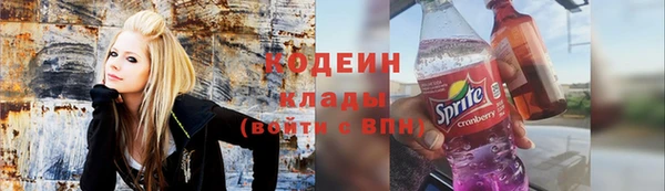 индика Новодвинск