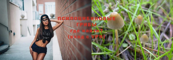 стаф Армянск