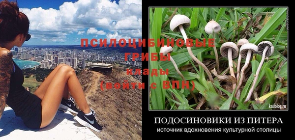 героин Алексин