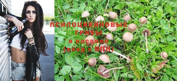 стаф Армянск