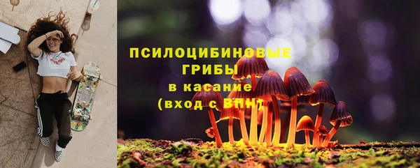 герыч Арсеньев