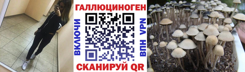 Псилоцибиновые грибы Cubensis  Рыльск 